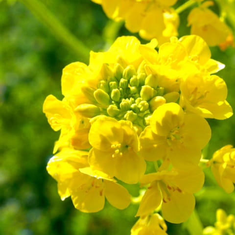 日常で受ける熱ダメージをケア